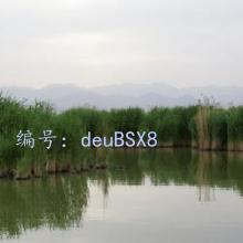 ½