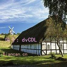 Ų